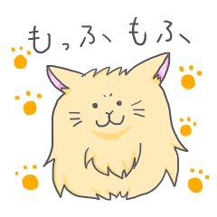 Cat's Ku-chan
