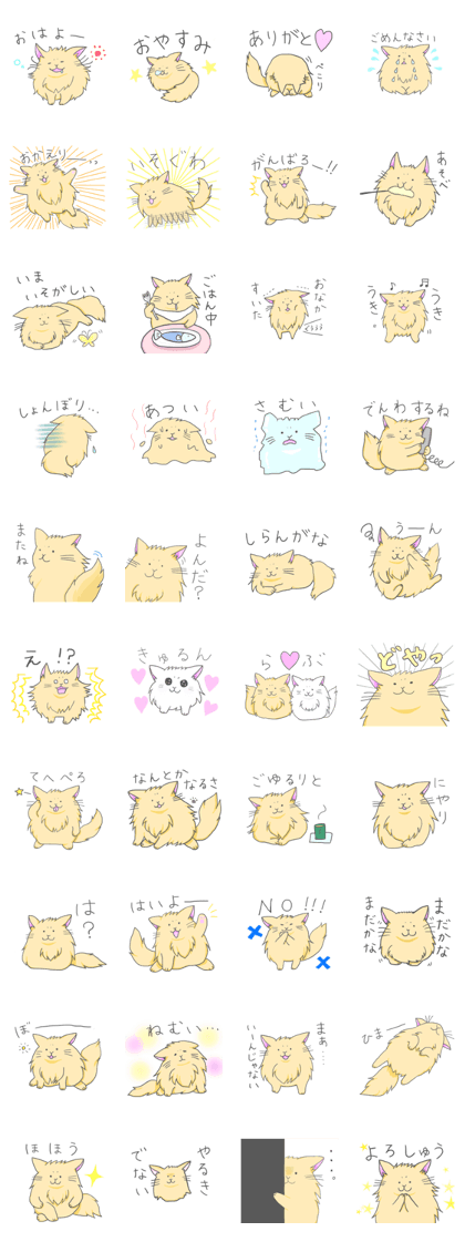 Cat's Ku-chan