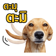 Mah Jon