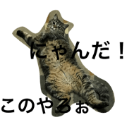 koko3