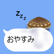 Kinoko kinoko!