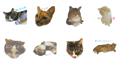 It's Cat stamp.