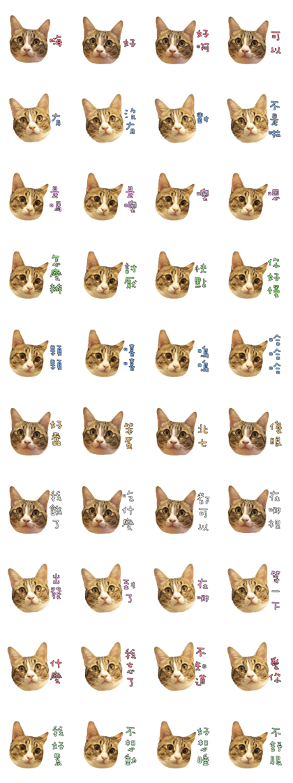 Fat YY daily - Fat Fat Fat