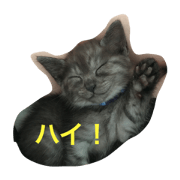 JACK01