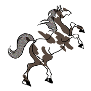 HorseOfWind's Walk to Gallop
