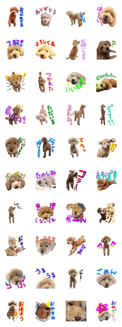 Toy poodle live action everyday stamp