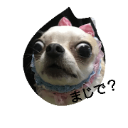 wanwan3