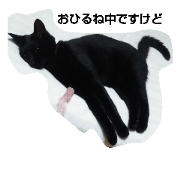 ruru tha black cat