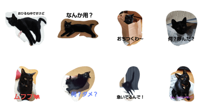 ruru tha black cat