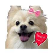 Riku and Luna Pomeranian stamp Part2