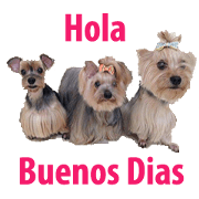 The Three Yorkies
