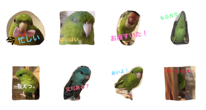 sazanami.3