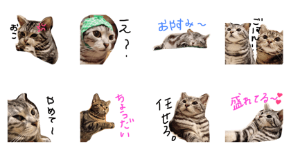 amesyonz