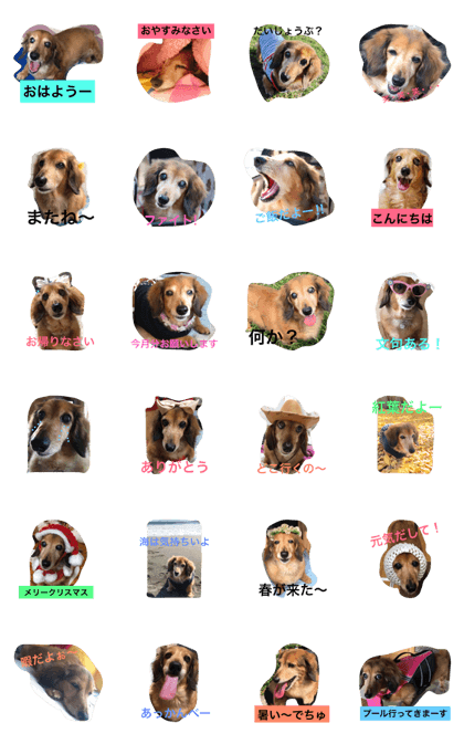 rainbow bridge sena