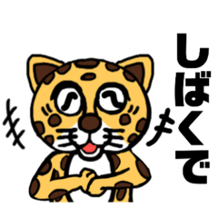 Kansai dialect leopar2
