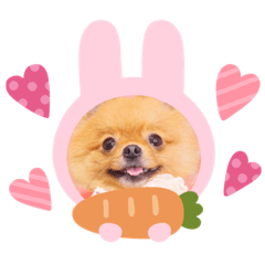 wasabi_20210525124420