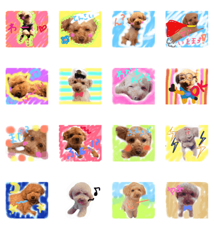 marronstamp123