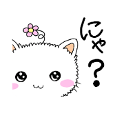 yumeneko  yumetan