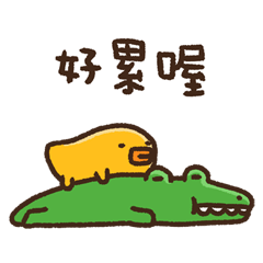 Crocodile and duck