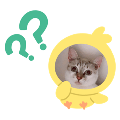 喂喂薇薇薇力彩