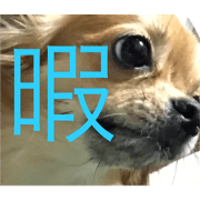 tenshi chama