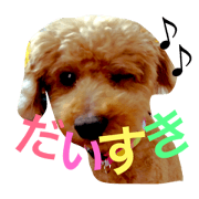 My dog is nana