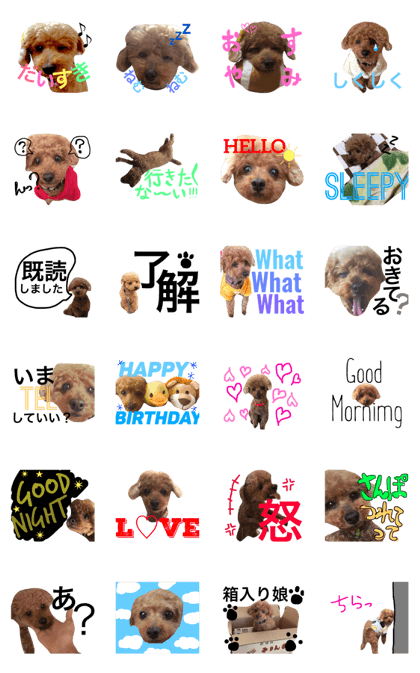 My dog is nana
