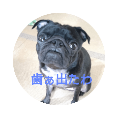 tomomi_20210524222526