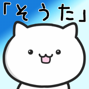 Cat For SOTA