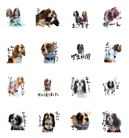 [cavalier]take-teto stamps