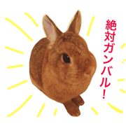 Going Muichan