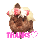 HAPPY HAPITAN
