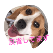 I am pretty Nanachan.