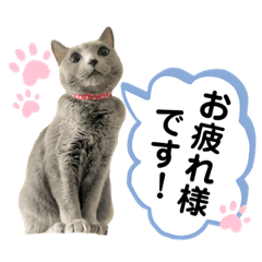 Suzu_20210525013739