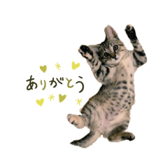 RINA_20210525140654