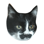 cat chibiguro