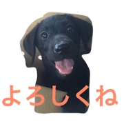 utinokurorabu