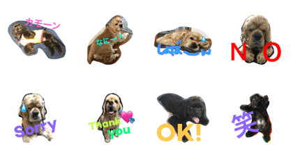 mainicolove2