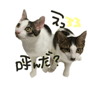 huy&nohea
