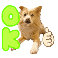 mizuki_20210525012956