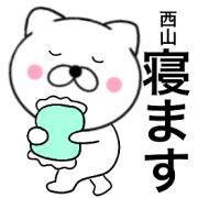 Name cat Nishiyama