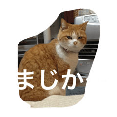 Rei_20210525015913