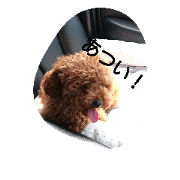 chocodesu