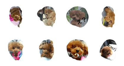 chocodesu