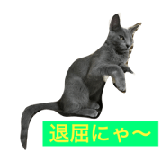 Russian Blue runachan