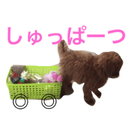 take-take