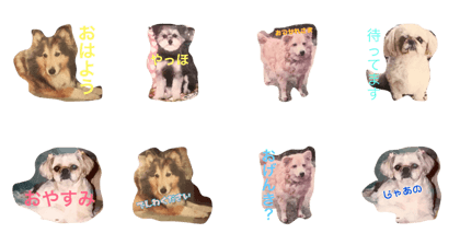 sasayan's dogs