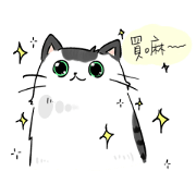 Cat and Ginseng
