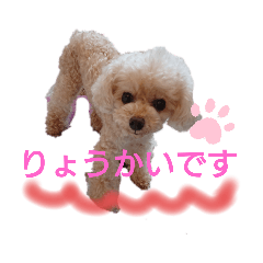 Konatsu with funny friends
