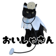 Kosuchoko. Doctor version